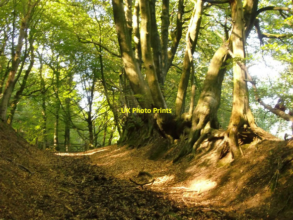 Photo 6"x4" Climbing Blackdown Shopp Hill c2016