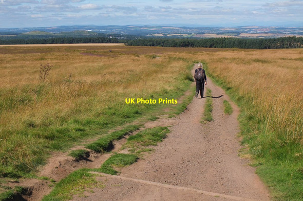 Photo 6"x4" Path to Harlaw, Pentland Hills Currie c2016