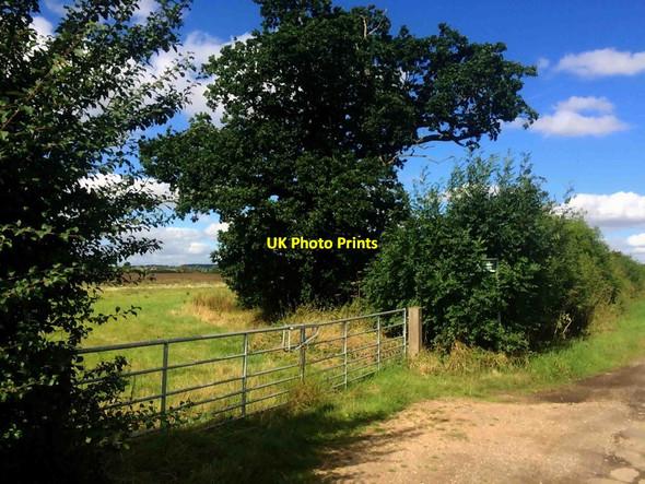 Photo 6"x4" Footpath to Belph from Broad Lane Hodthorpe c2016