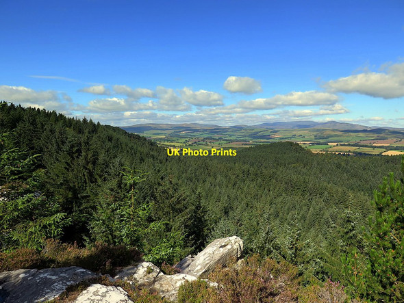Photo 6"x4" Thrunton Wood north-west from Thrunton Crag Callaly c2016