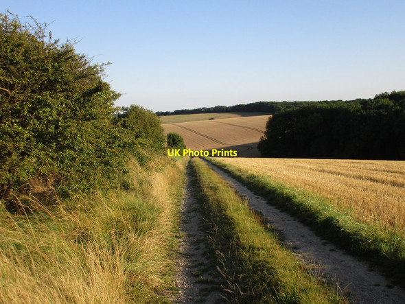 Photo 6"x4" Farm track and Coronation Wood Brookenby c2016
