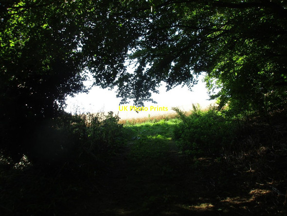 Photo 6"x4" Field entrance at North Ormesby North Ormsby c2016