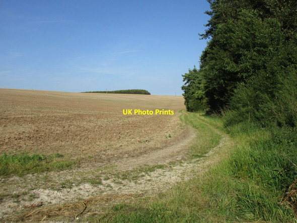 Photo 6"x4" Bridleway alongside Ormsby Plantation North Ormsby c2016