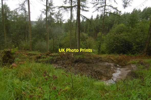 Photo 6"x4" Drainage, Silton Forest Over Silton c2016