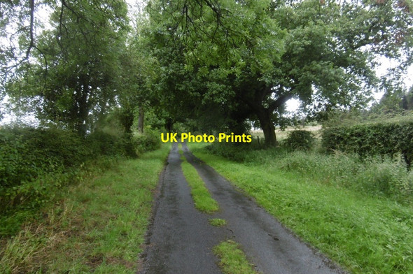 Photo 6"x4" Moor Lane Nether Silton c2016
