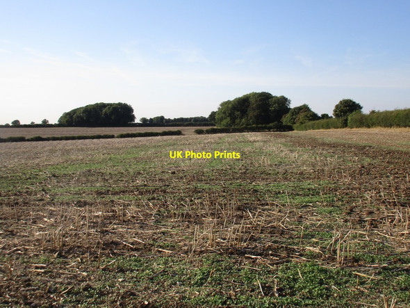 Photo 6"x4" Stubble field and small plantation near Binbrook Hall Binbrook c2016