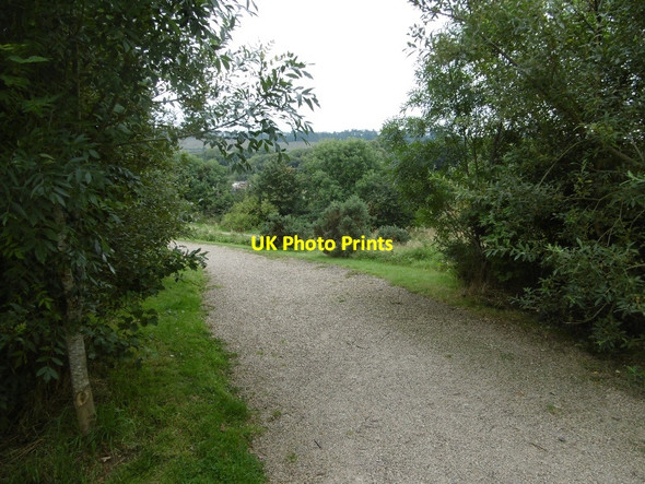Photo 6"x4" Path off Parkmanor Avenue Barrhead c2016