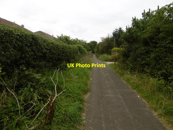 Photo 6"x4" Langrig Road Newton Mearns c2016