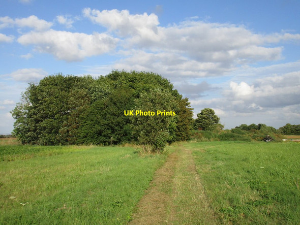 Photo 6"x4" Bridleway approaching Horncastle Lane Nettleham c2016
