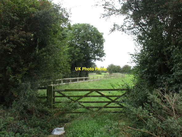 Photo 6"x4" Gateway on Langworth Road Scothern c2016