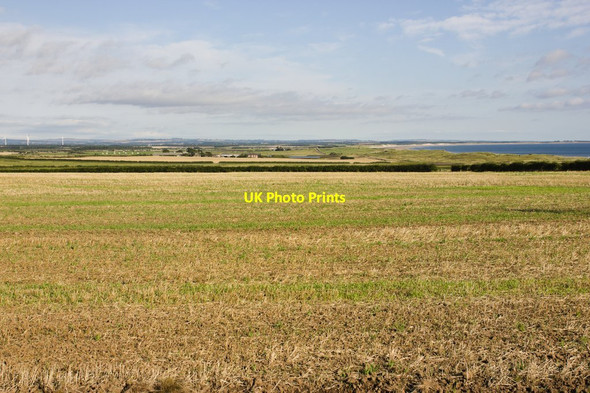 Photo 6"x4" Field West of Cresswell Cresswell\/NZ2993 c2016