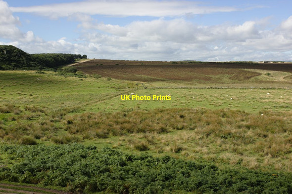 Photo 6"x4" Grazing Land near Dunstanburgh Castle Craster c2016