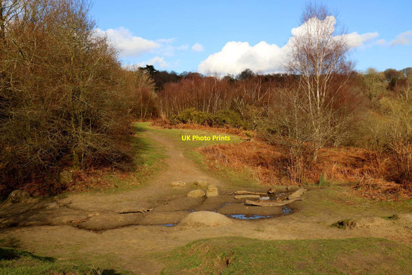 Photo 6"x4" The Sandpit in Shotover Country Park Blenheim\/SP5705 c2016