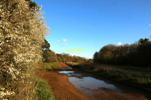 Photo 6"x4" Shotover Plain on Shotover Hill New Headington c2016