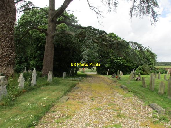 Photo 6"x4" Track through the churchyard, Aldingbourne Aldingbourne c2016