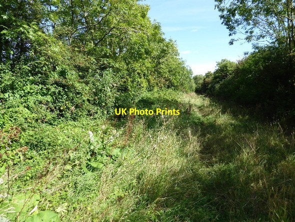 Photo 6"x4" Bridleway to Wickhamford Evesham c2016