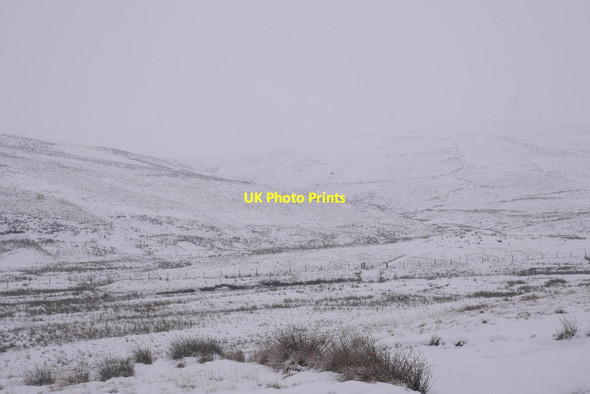 Photo 6"x4" Track on Green Ea's Hill Leadhills c2016