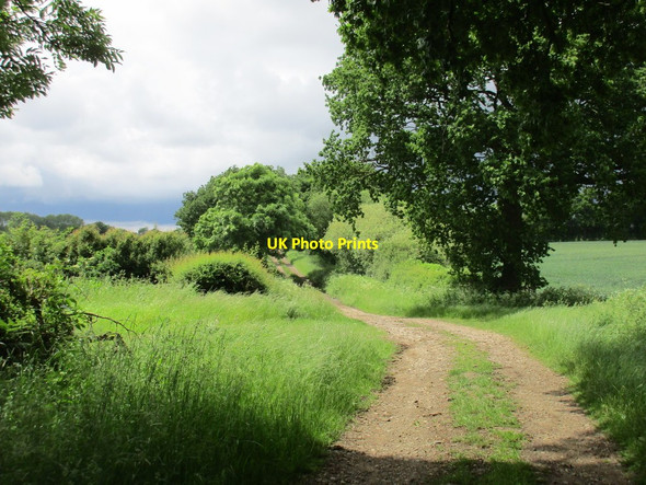 Photo 6"x4" Byway to Priesthaywood Farm Syresham c2016