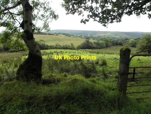 Photo 6"x4" Rushy ground, Willmount Drumquin c2016