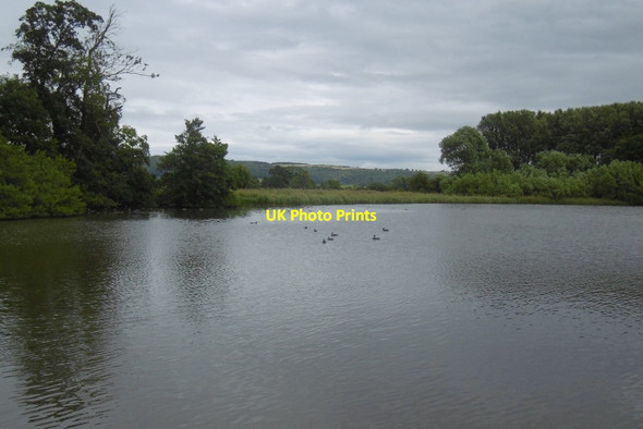 Photo 6"x4" Pond, Newburgh Priory Coxwold c2016
