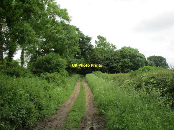 Photo 6"x4" Byway to Brackley Hatch Syresham c2016
