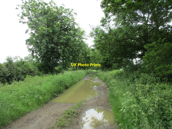 Photo 6"x4" Evidence of earlier rain Syresham c2016