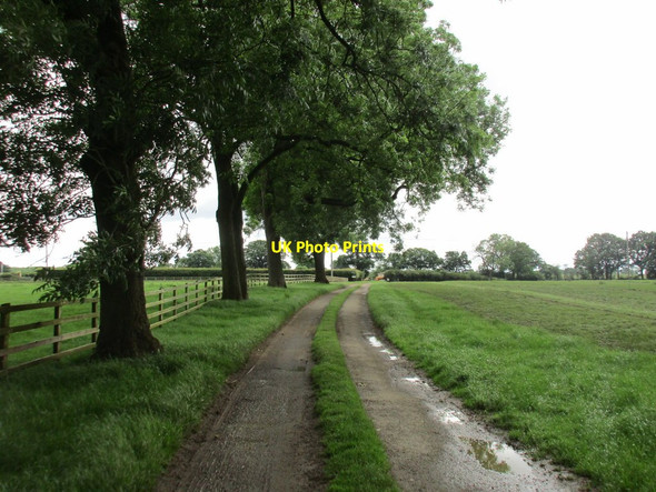 Photo 6"x4" Roadway to Wappenham Lodge Farm Wappenham c2016