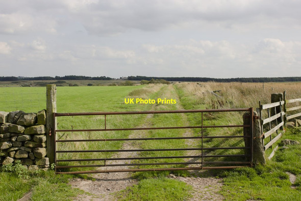 Photo 6"x4" Gate and Footpath to Springhill Farm Beckwithshaw c2016