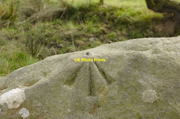 Photo 6"x4" Rivet Bench Mark on Rock near Springhill Farm Beckwithshaw c2016