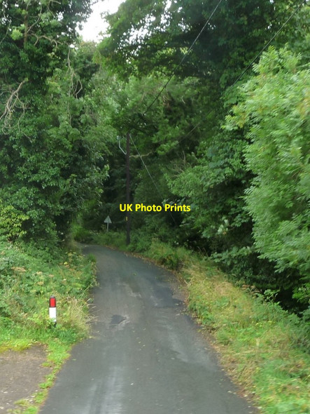 Photo 6"x4" The road to Cornaa Ballajora c2016