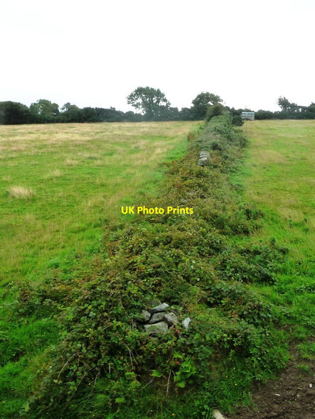 Photo 6"x4" Stone and bramble field boundary, north of Ards Corrany c2016