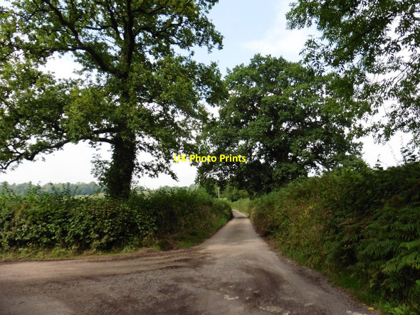 Photo 6"x4" Turning for Combe Claypits\/SS9625 c2016