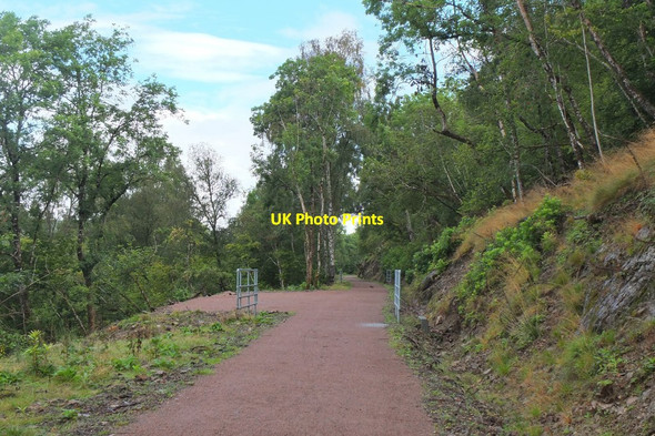 Photo 6"x4" On the Great Glen Way by Loch Oich Invergarry c2016 P1