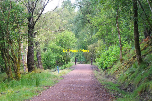 Photo 6"x4" The Great Glen Way by Loch Oich Invergarry c2016
