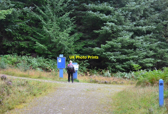 Photo 6"x4" Choice of routes on the Great Glen Way Fort Augustus c2016