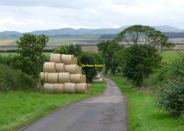 Photo 6"x4" Round straw bales stored beside road Birgham c2016