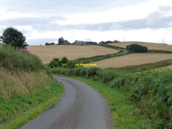 Photo 6"x4" The winding road to Pressen West Learmouth c2016