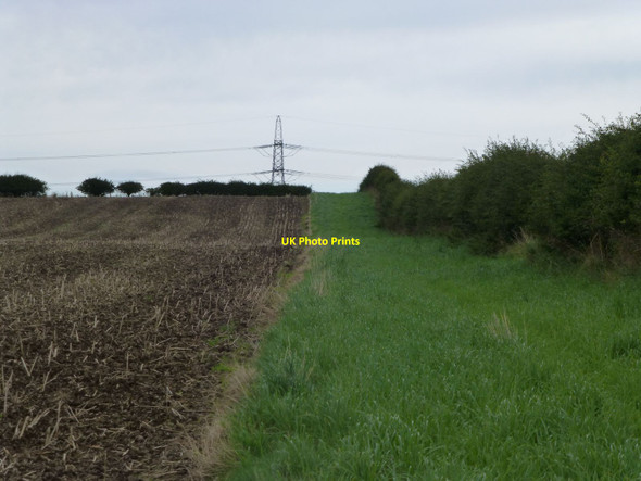 Photo 6"x4" Grass at field edge  Bareless c2016