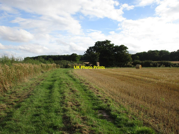 Photo 6"x4" Bridleway to the Laxton-Kneesall road Laxton\/SK7267 c2016