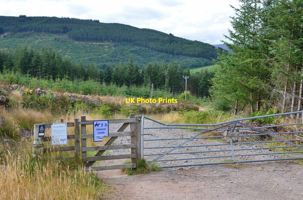 Photo 6"x4" Gate to Clunebeg Wood Lewiston c2016