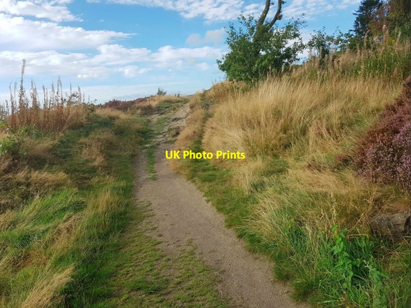 Photo 6"x4" Gilstead Moor Bingley\/SE1139 c2016
