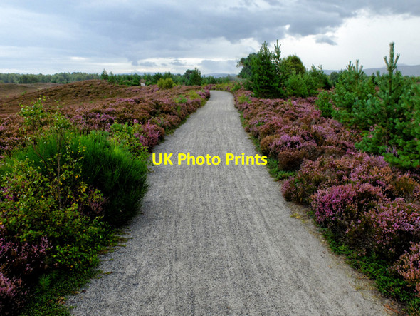Photo 6"x4" Speyside Way Kinveachy c2016