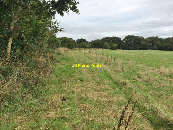Photo 6"x4" Wool, farm track East Stoke\/SY8786 c2016