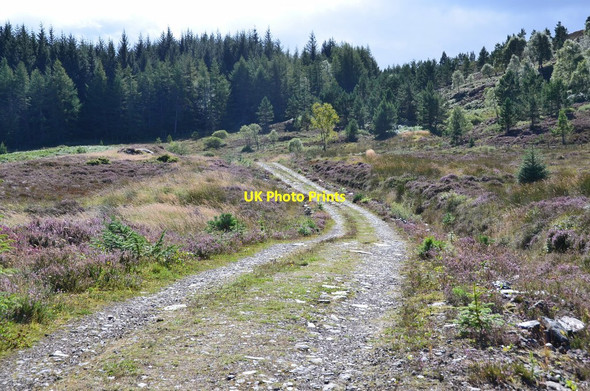 Photo 6"x4" Track near Corryfoyness Balchraggan\/NH5634 c2016