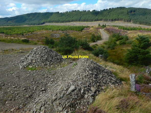 Photo 6"x4" Beside the John Muir Way Arden\/NS3684 c2016