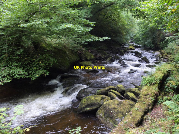 Photo 6"x4" East Lyn River at Myrtleberry Cleave Lynton c2016