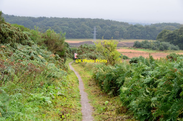 Photo 6"x4" Great Glen Way approaching Inverness Inverness c2016