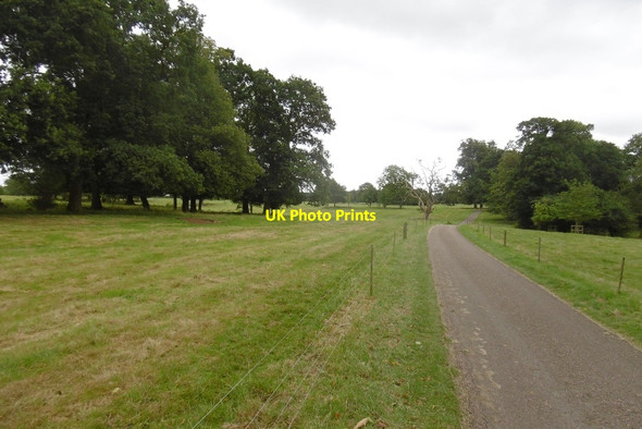 Photo 6"x4" Road to Beningbrough Hall Newton-on-Ouse c2016