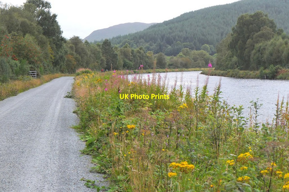 Photo 6"x4" Caledonian Canal and towpath Kilmonivaig c2016