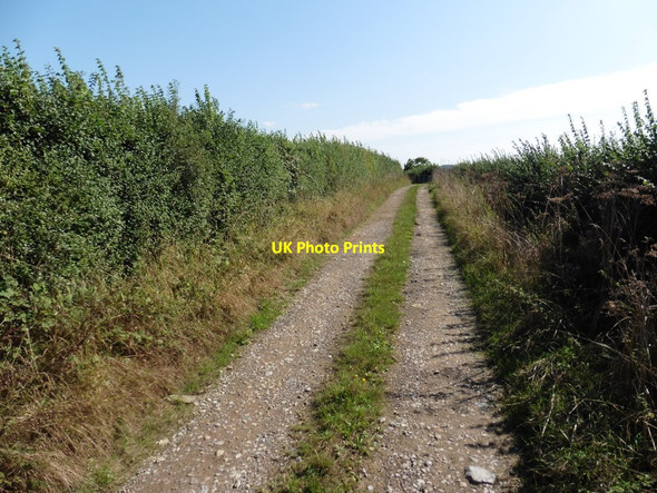 Photo 6"x4" Track leading to Martock Coat c2016